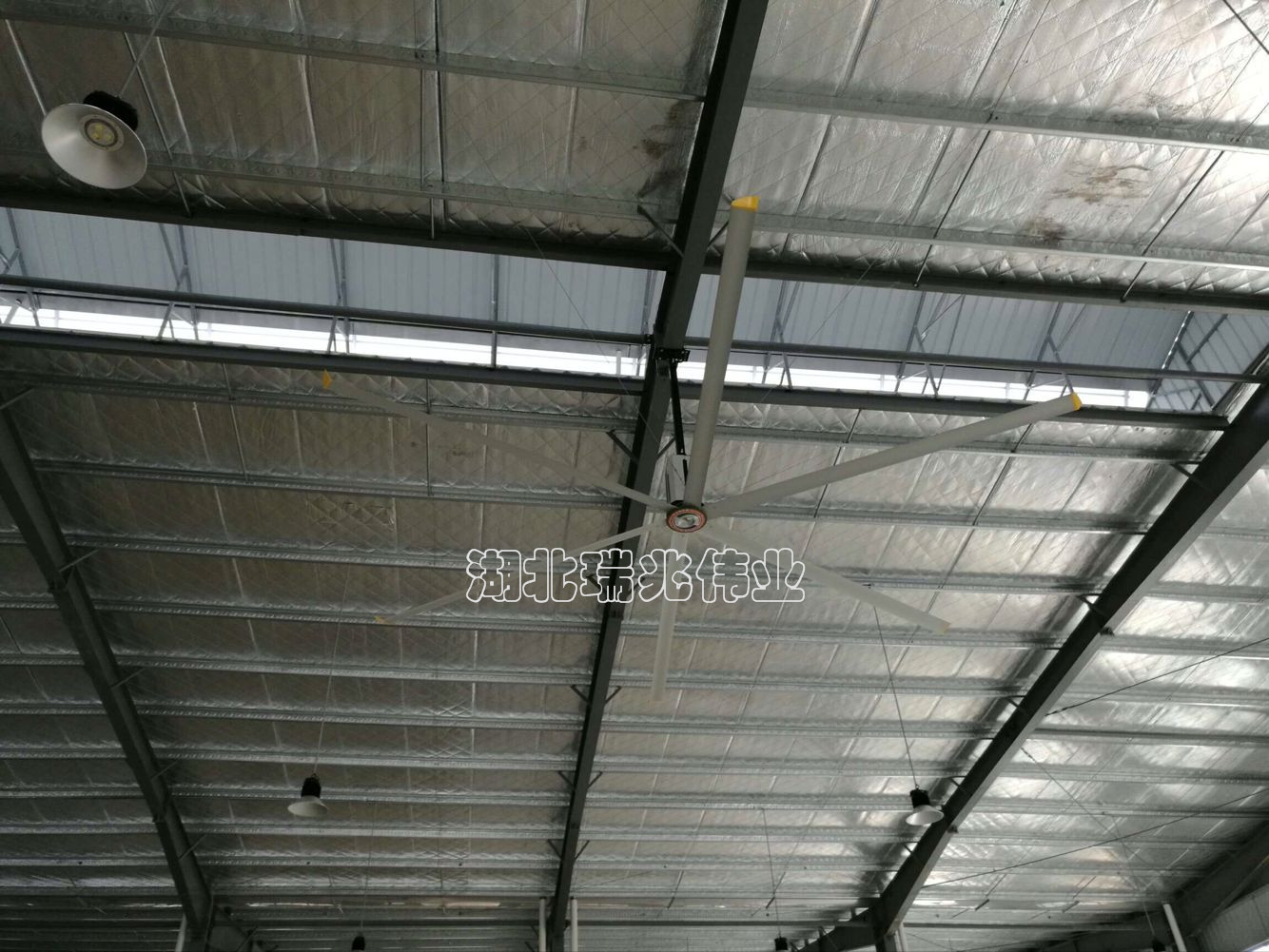 皮皮蝦我們走！眾里尋它千百度-高大廠房降溫通風找我家！