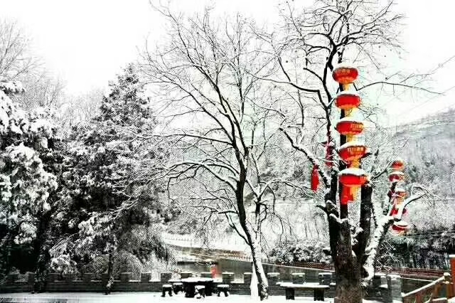 銀色高貴的裙裾，徐徐轉(zhuǎn)出優(yōu)美的芭蕾舞姿，涼爽和舒適瞬間溫柔擁你入懷！-瑞泰風(fēng)工業(yè)大風(fēng)扇