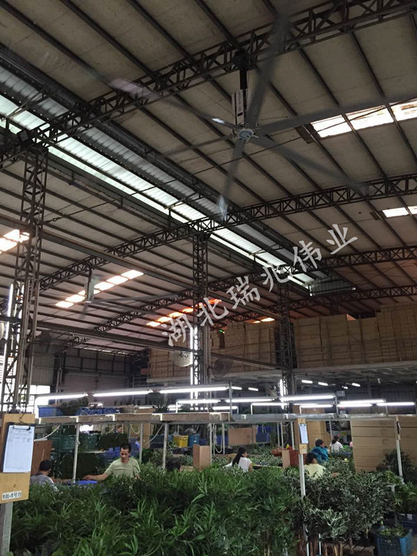 大型工業(yè)吊扇，效果好且省錢