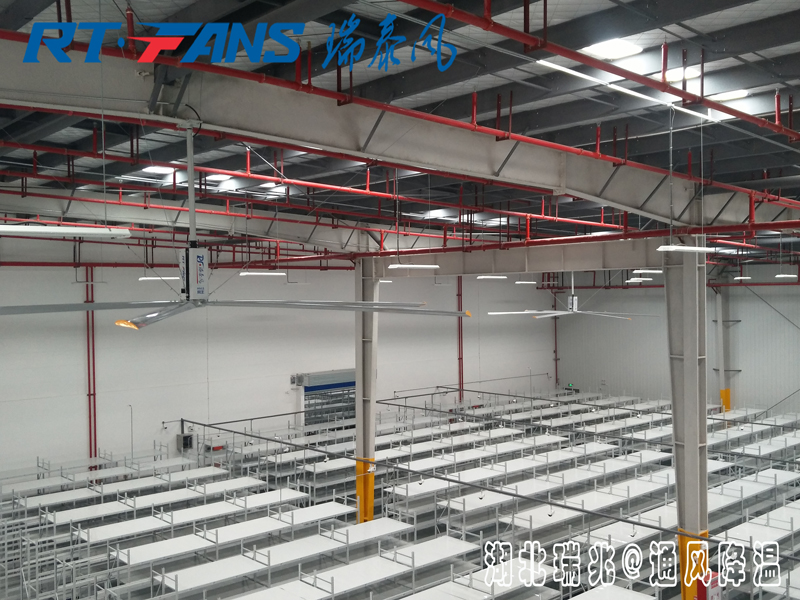 工業(yè)大風(fēng)扇具體的通風(fēng)降溫效果怎么樣，有什么作用呢